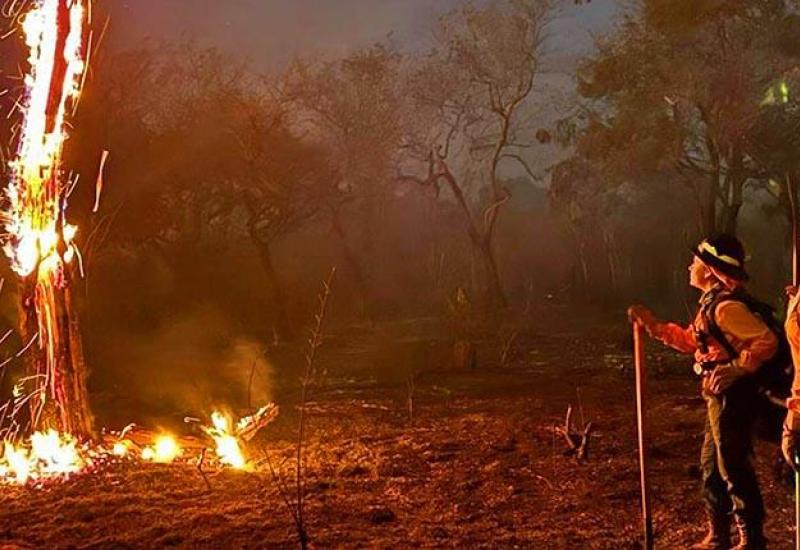 El fuego arrasa en las comunidades de Roboré, en Santa Cruz. Foto: Los Tiempos