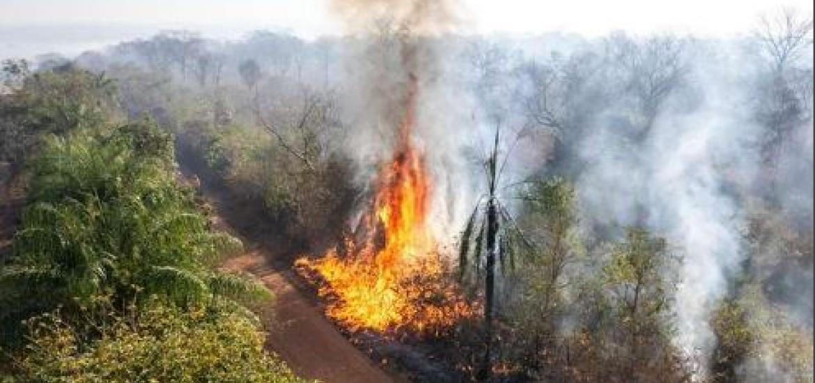 Incendio en la Chiquitanía. Foto: El Deber. 