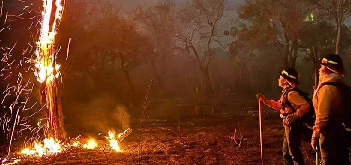 El fuego arrasa en las comunidades de Roboré, en Santa Cruz. Foto: Los Tiempos