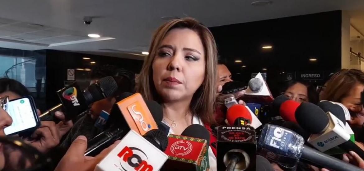  Viceministra de Comunicación, Gabriela Alcón. Foto: Captura de video. 