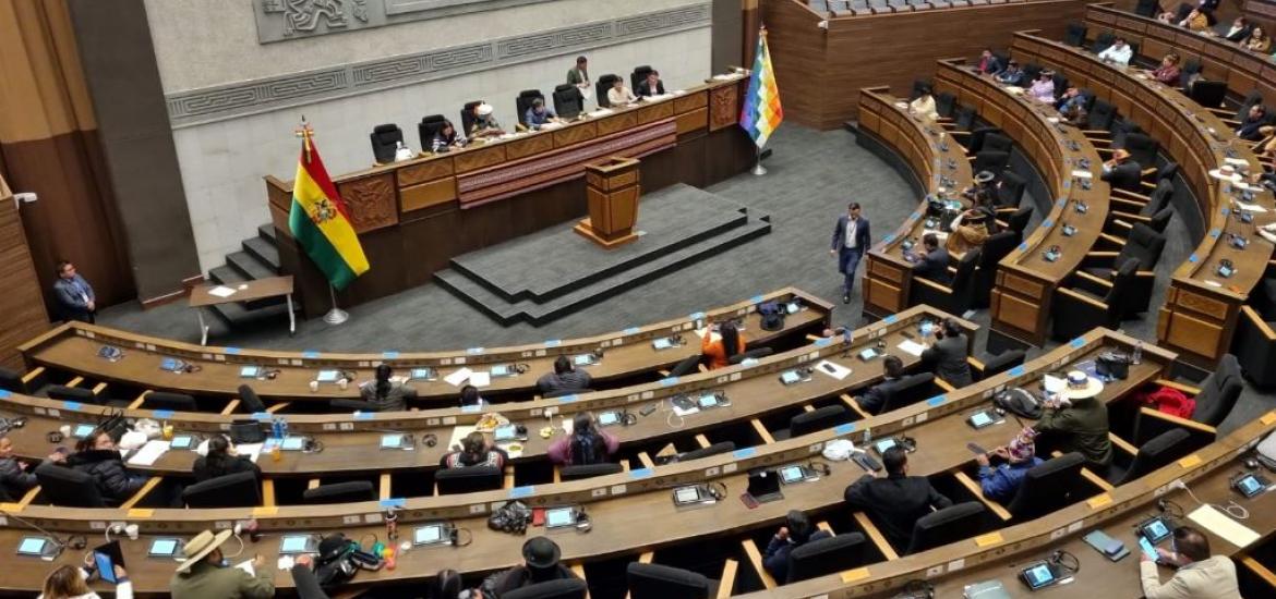 Foto: Cámara de Diputados. 