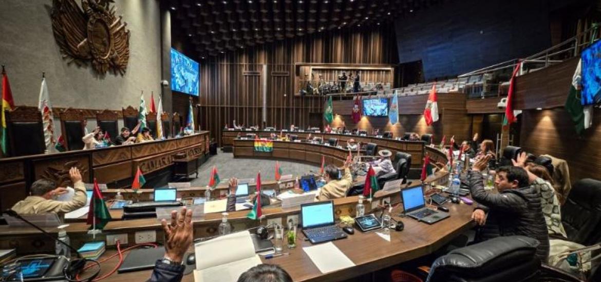 Foto: Cámara de Senadores