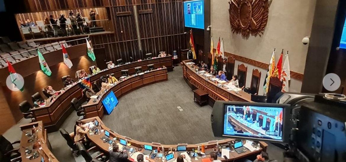 Cámara de Senadores. Foto: Facebook