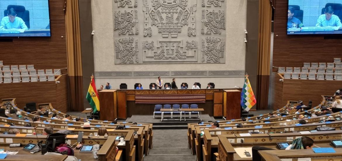 Camara de Diputados: Foto: Cámara de diputados 