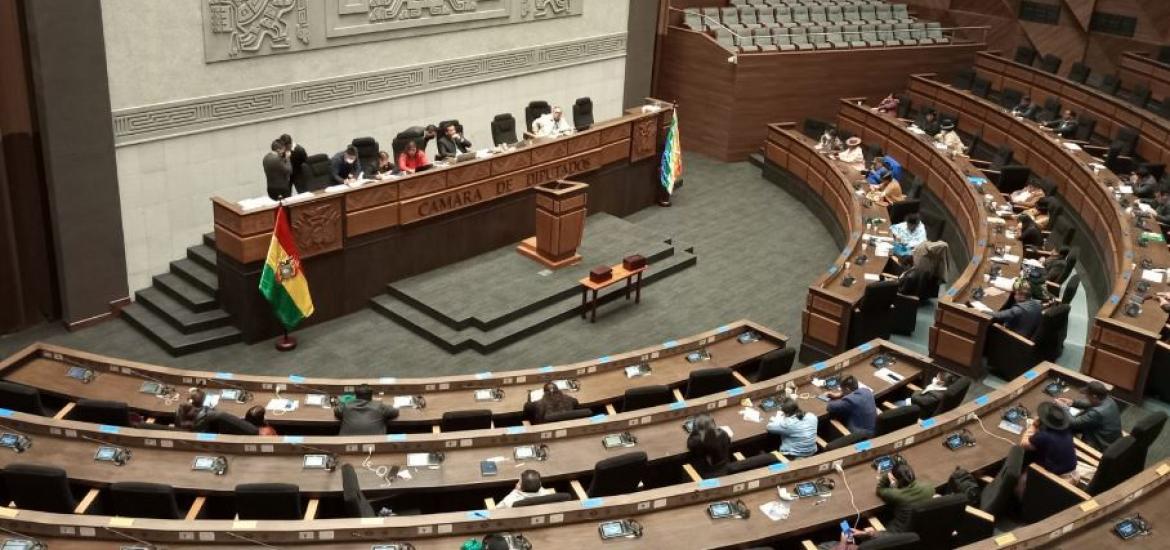 Foto: Cámara de Diputados