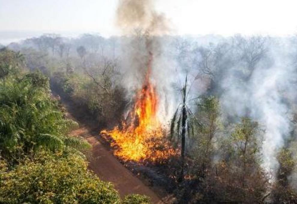 Incendio en la Chiquitanía. Foto: El Deber. 