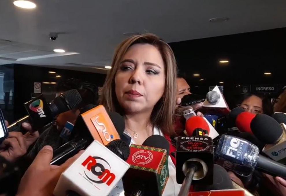  Viceministra de Comunicación, Gabriela Alcón. Foto: Captura de video. 