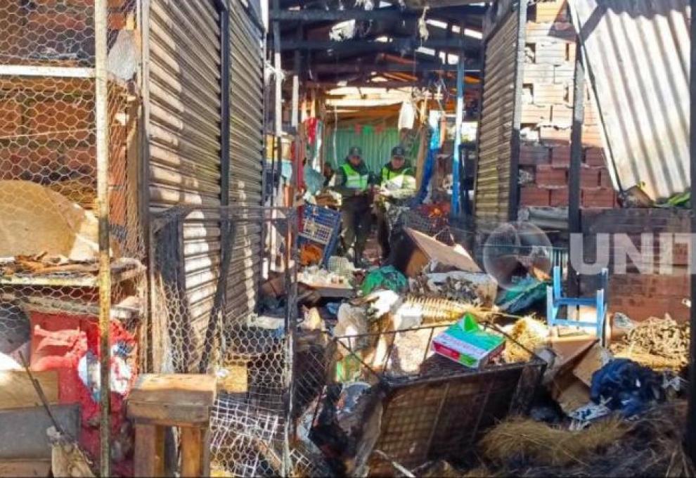 Mercado Uruguay en la ciudad de La Paz. Foto: Unitel. 