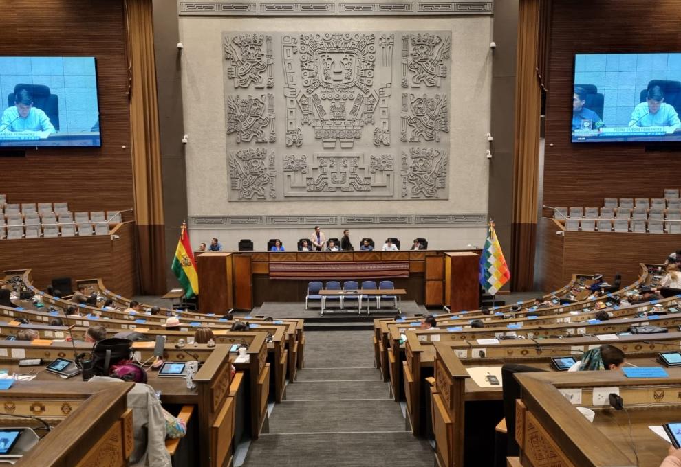 Camara de Diputados: Foto: Cámara de diputados 