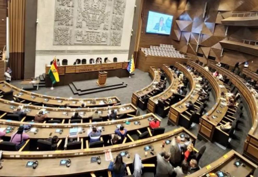 Foto: Cámara de Diputados