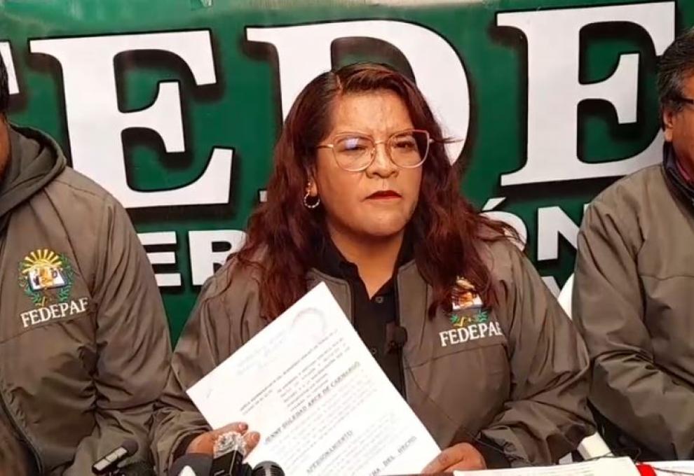 Presidenta de Fedepaf El Alto, Jhenny Arce. Foto: Captura de video.